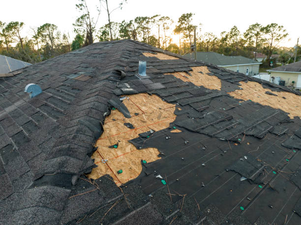 Best Roof Insulation Installation  in Combes, TX